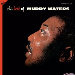 The Best of Muddy Waters 180 Gram Vinyl + Bonus CD included inside