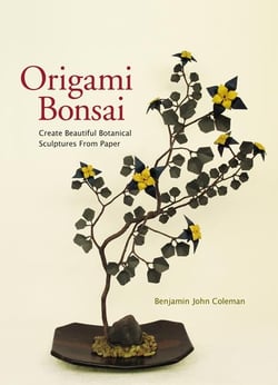 Origami bonsai (avec dvd)