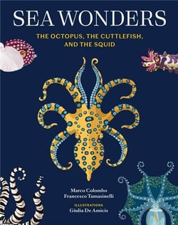 Sea wonders : The octopus, the cuttlefish, and the squid