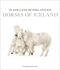 In the Land of Fire and Ice Horses of Iceland