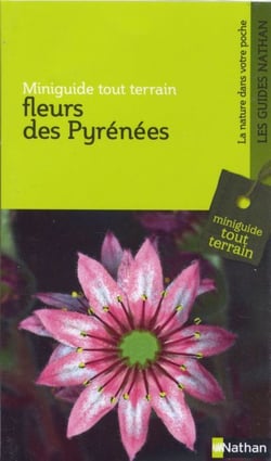 Fleurs des Pyrénées