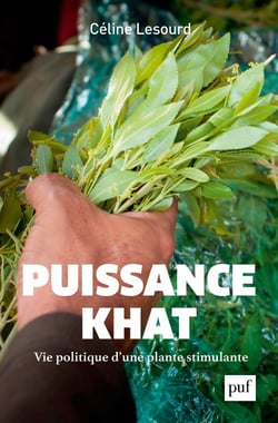Puissance khat - vie politique d'une plante stimulante