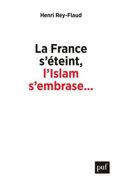 La France s'éteint, l'islam s'embrase... - réflexions sur un malaise