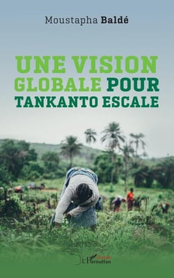 Une vision globale pour tankanto escale