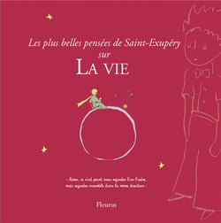 Les plus belles pensées de saint-exupéry sur la vie