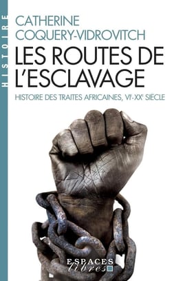 Les routes de l'esclavage - histoire des traites africaines, VIe-XXe siècle