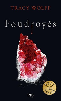 Assoiffés - Tome 2 Foudroyés