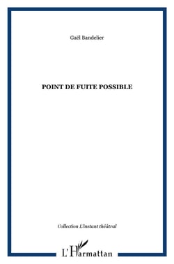Point de fuite possible