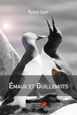 Émaux et guillemots