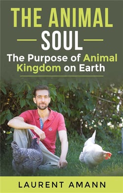 The animal soul : The Purpose of Animal Kingdom on Earth