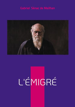 L'Émigré : Chronique romanesque de l'aristocratie en exil - un regard inédit sur l'Europe bouleversée par la Révolution française