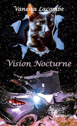 Vision nocturne