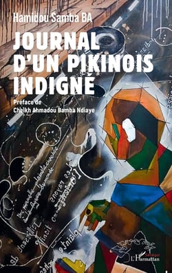Journal d'un Pikinois indigné