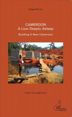 Cameroon - a lion deeply asleep - building a new Cameroon