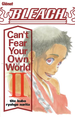 Bleach : can't fear your own world Tome 2