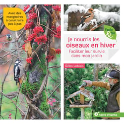 Je nourris les oiseaux en hiver - faciliter leur survie dans mon jardin