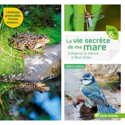 La vie secrète de ma mare - j'observe la nature à fleur d'eau