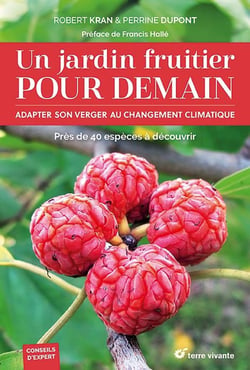 Un jardin fruitier pour demain : adapter son verger au changement climatique