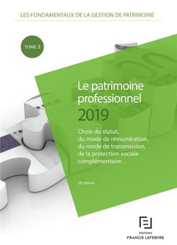 LE PATRIMOINE PROFESSIONNEL