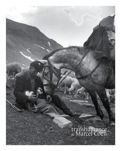 La transhumance de Marcel Coen : du pays d'Arles au Mercantour
