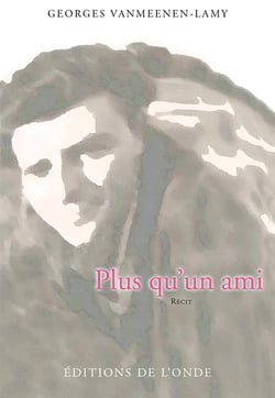 Plus qu'un ami