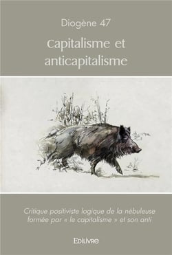 Capitalisme et anticapitalisme - critique positiviste logique de la nebuleuse formee par  le capita