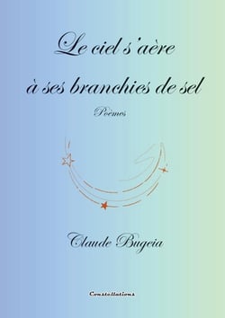 Le ciel s'aère à ses branchies de sel