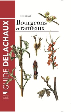 Guide des bourgeons et rameaux