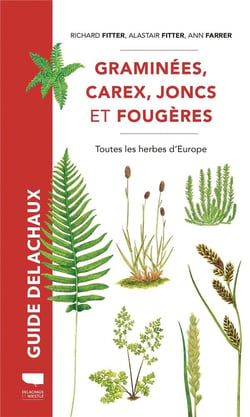 Guide Delachaux : Graminées, carex, joncs et fougères : Toutes les herbes d'Europe