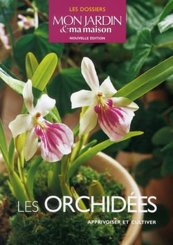 Les orchidées
