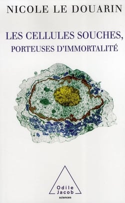Les cellules souches, porteuses d immortalité