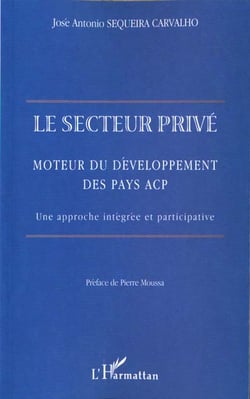 Le secteur prive - moteur du developpement des pays acp. une approche integree et participative