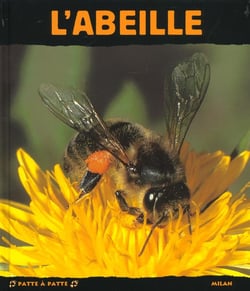L'abeille