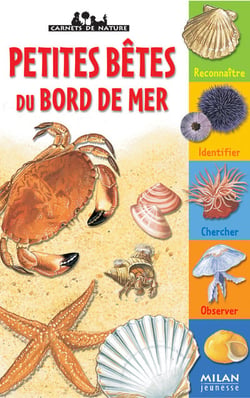 Petites betes du bord de mer