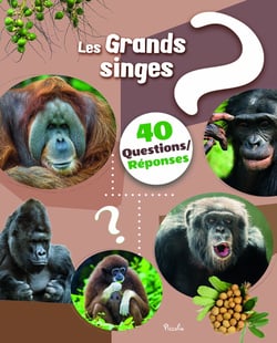 40 questions/réponses : Les grands singes