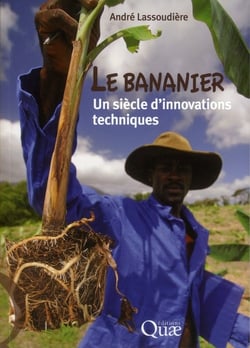 Le bananier : un siècle d'innovations techniques
