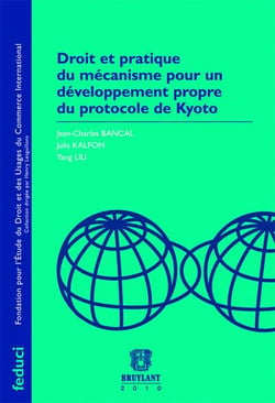 Droit et pratique du mécanisme pour le développement propre du protocole de kyoto