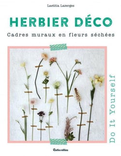 Herbier déco - cadres muraux en fleurs séchées