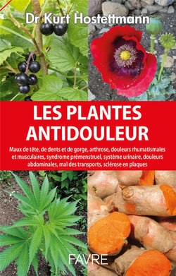Les plantes anti-douleurs