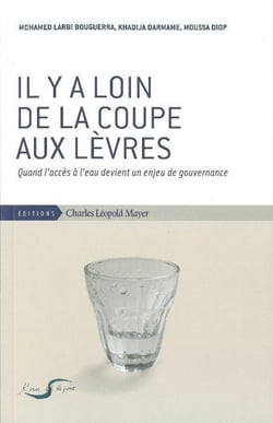 Il y a loin de la coupe aux lèvres - quand l'accès à l'eau devient un enjeu de gouvernance