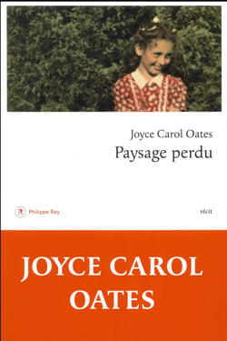 Paysage perdu