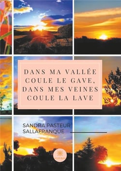 Dans ma vallée coule le gave dans mes veines coule la lave