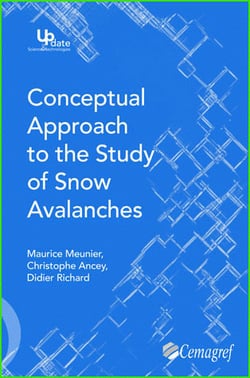 Conceptual approach to the study of snow avalanches