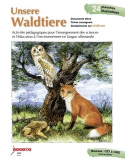 Unsere waldtiere - activités pédagogiques pour l'enseignant des sciences et l'éducation à l'environnement en langua allemande