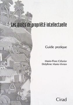 Les droits de propriété intellectuelle - guide pratique