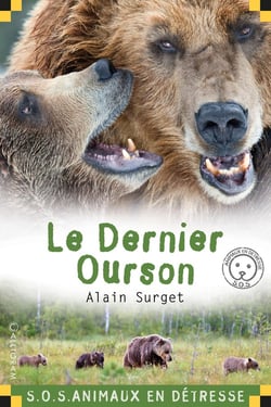 Le dernier ourson