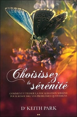 Choisissez la sérénité - comment utiliser le regard serein pour résoudre vos problèmes quotidiens