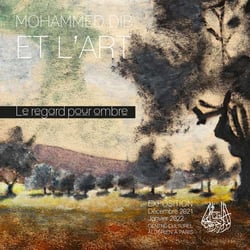 Mohammed Dib et l'art : Le regard pour ombre