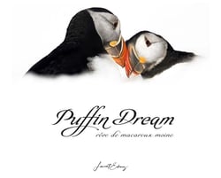 Puffin dream : rêve de macareux moine