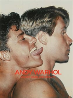 Andy Warhol : Velvet rage and beauty